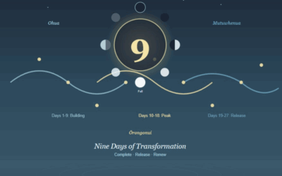 Harnessing the Power of 9 (Iwa) for Daily Harmony and Balance