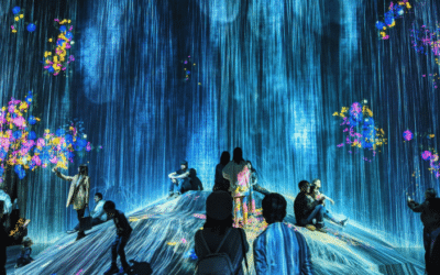 Reclaiming Your Digital Mana: Taha Matihiko – Digital Wellness