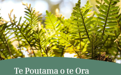 Te Tūāpapa – The FoundationSteps 1-3 of Te Poutama o te Ora